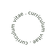 curriculum vitae curriculum vitae
